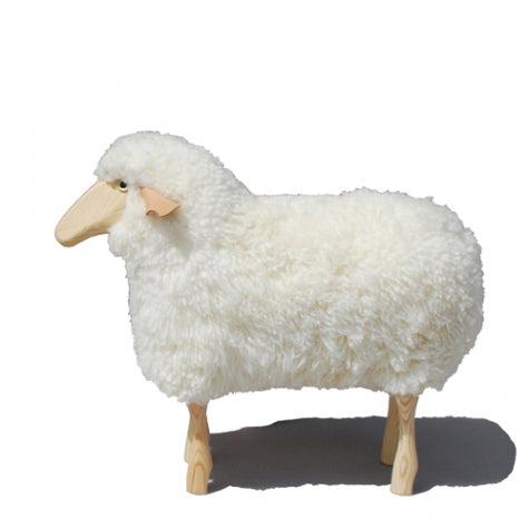 Schaf | lebensgroß